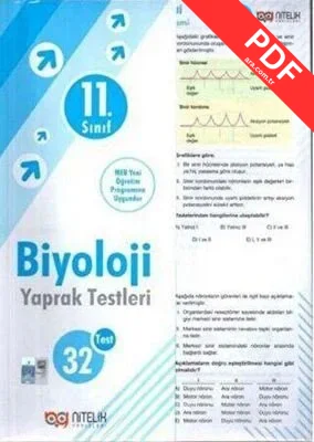 11. Sınıf Biyoloji Yaprak Testleri kitap kapağı