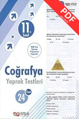 11. Sınıf Coğrafya Yaprak Testleri kitap kapağı