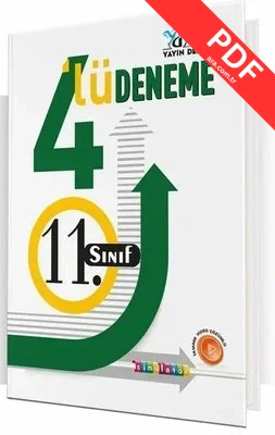 11.Sınıf Pro Deneme 4'lü kitap kapağı
