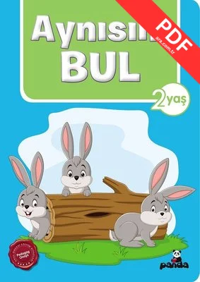 2 Yaş - Aynısını Bul kitap kapağı