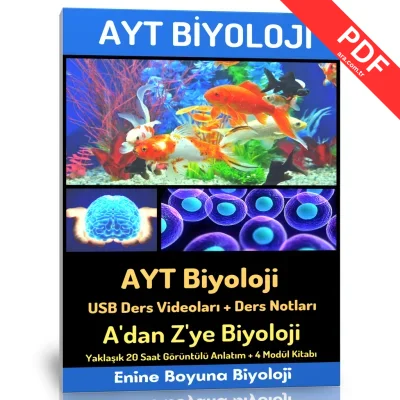 2024 AYT Biyoloji Modüler Kitap Seti kitap kapağı