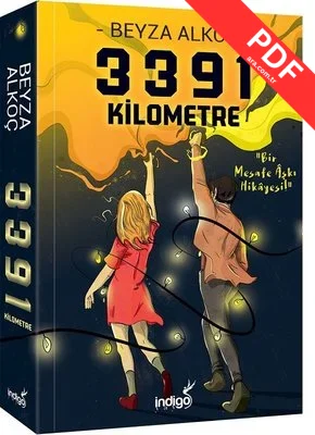 3391 Kilometre kitap kapağı