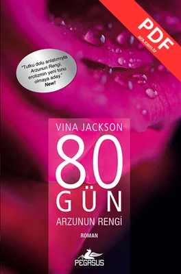 80 Gün Arzunun Rengi kitap kapağı
