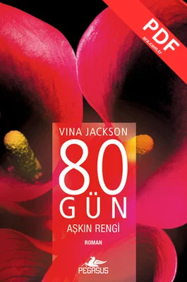 80 Gün Aşkın Rengi kitap kapağı