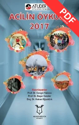 Acilin Öyküsü 2017 kitap kapağı