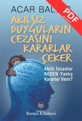 Akılsız Duyguların Cezasını Kararlar Çeker kitap kapağı