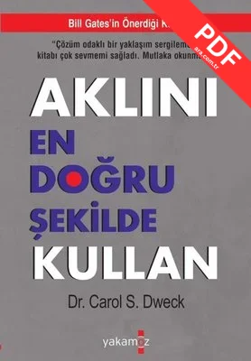 Aklını En Doğru Şekilde Kullan kitap kapağı