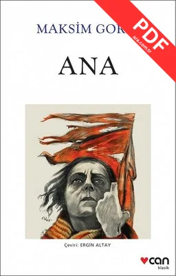 Ana kitap kapağı
