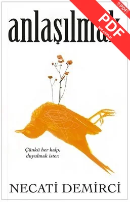 Anlaşılmak kitap kapağı