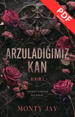 Arzuladığımız Kan - Kısım 1 kitap kapağı