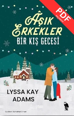 Aşık Erkekler: Bir Kış Gecesi kitap kapağı