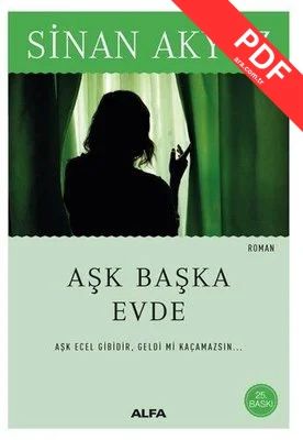Aşk Başka Evde kitap kapağı