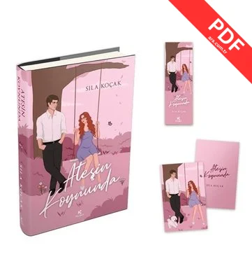 Ateşin Koynunda kitap kapağı