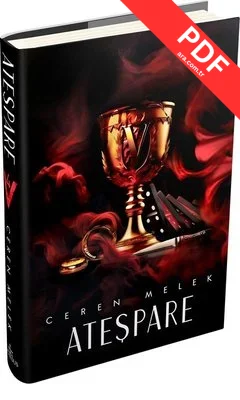 Ateşpare - 4 kitap kapağı