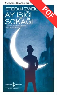 Ay Işığı Sokağı kitap kapağı