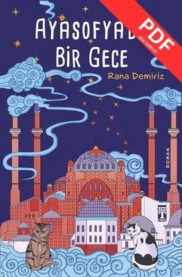 Ayasofya'da Bir Gece kitap kapağı