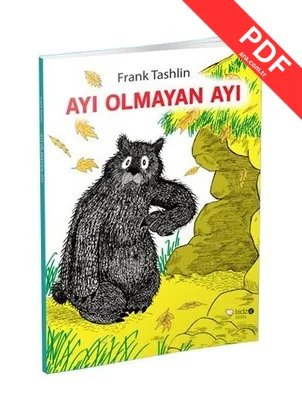 Ayı Olmayan Ayı kitap kapağı