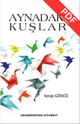 Aynadaki Kuşlar kitap kapağı