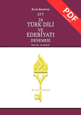 AYT 24 Türk Dili ve Edebiyatı Denemesi kitap kapağı