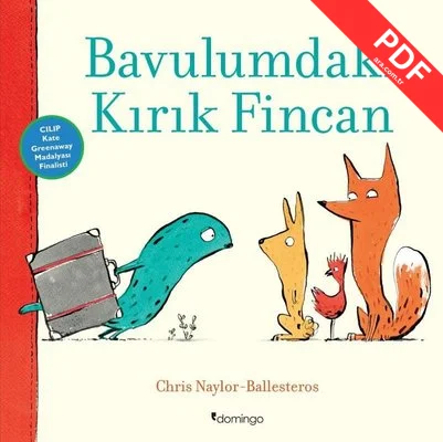 Bavulumdaki Kırık Fincan kitap kapağı