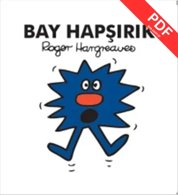 Bay Hapşırık kitap kapağı
