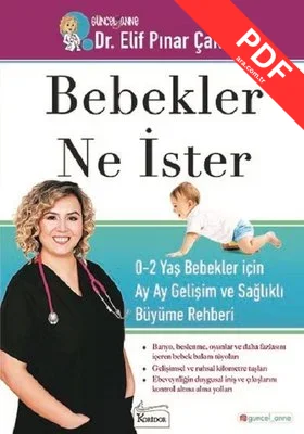 Bebekler Ne İster: 0-2 Yaş Bebekler için Ay Ay Gelişim ve Sağlıklı Büyüme Rehberi kitap kapağı