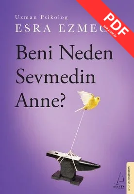 Beni Neden Sevmedin Anne? kitap kapağı
