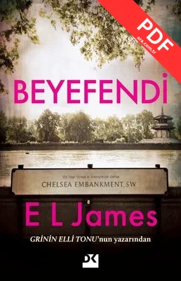 Beyefendi kitap kapağı