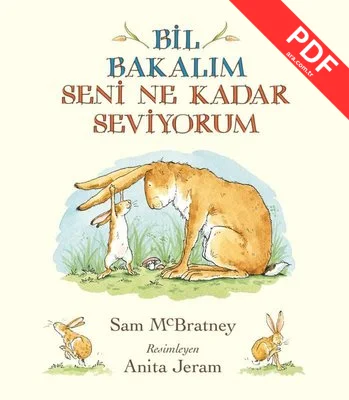Bil Bakalım Seni Ne Kadar Seviyorum kitap kapağı