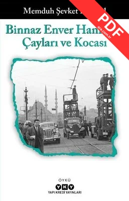 Binnaz Enver Hanım'ın Çayları ve Kocası kitap kapağı