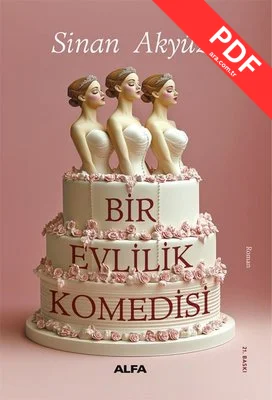 Bir Evlilik Komedisi kitap kapağı