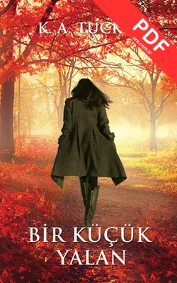 Bir Küçük Yalan kitap kapağı