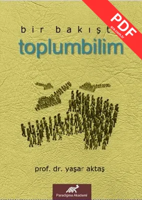 Bir BakıştaToplumbilim kitap kapağı
