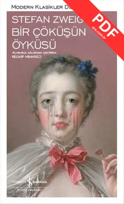 Bir Çöküşün Öyküsü kitap kapağı