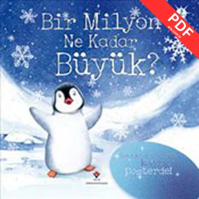 Bir Milyon Ne Kadar Büyük? kitap kapağı
