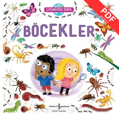 Böcekler - Çevremizdeki Dünya kitap kapağı