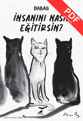 İnsanını Nasıl Eğitirsin? kitap kapağı