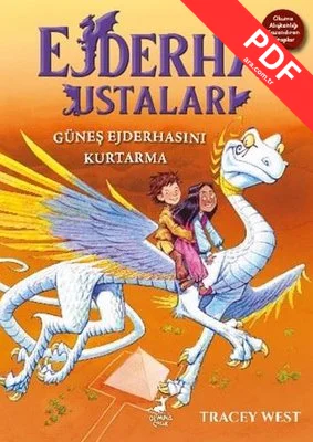Güneş Ejderhasını Kurtarma - Ejderha Ustaları 2 kitap kapağı