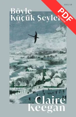 Böyle Küçük Şeyler kitap kapağı