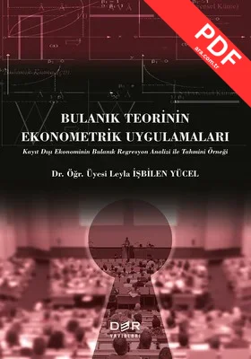 Bulanık Teorinin Ekonometrik Uygulamaları kitap kapağı