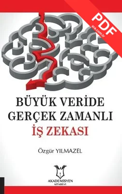 Büyük Veride Gerçek Zamanlı İş Zekası kitap kapağı
