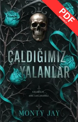 Çaldığımız Yalanlar kitap kapağı