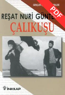 Çalıkuşu - Gençler İçin Türk Klasikleri kitap kapağı