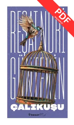 Çalıkuşu kitap kapağı