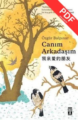 Canım Arkadaşım kitap kapağı