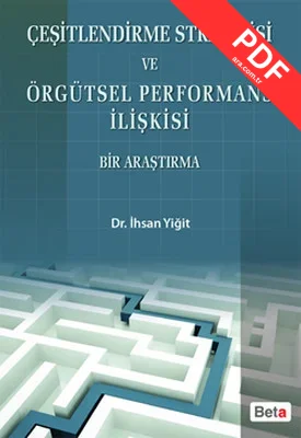 Çeşitlendirme Stratejisi ve Örgütsel Performans İlişkisi Bir Araştırma kitap kapağı
