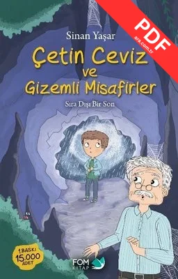 Çetin Ceviz ve Gizemli Misafirler - Sıra Dışı Bir Son kitap kapağı