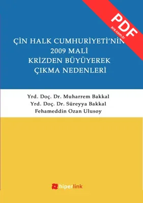 Çin Halk Cumhuriyeti'nin 2009 Mali Krizden Büyüyerek Çıkma Nedenleri kitap kapağı