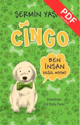 Cingo kitap kapağı