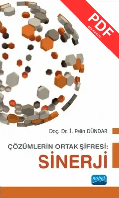 Çözümlerin Ortak Şifresi - Sinerji kitap kapağı